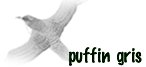 PUFFIN GRIS