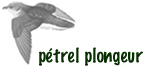 PETREL PLONGEUR