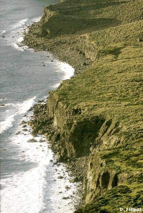 {Au pied de la falaise, la "plage"}