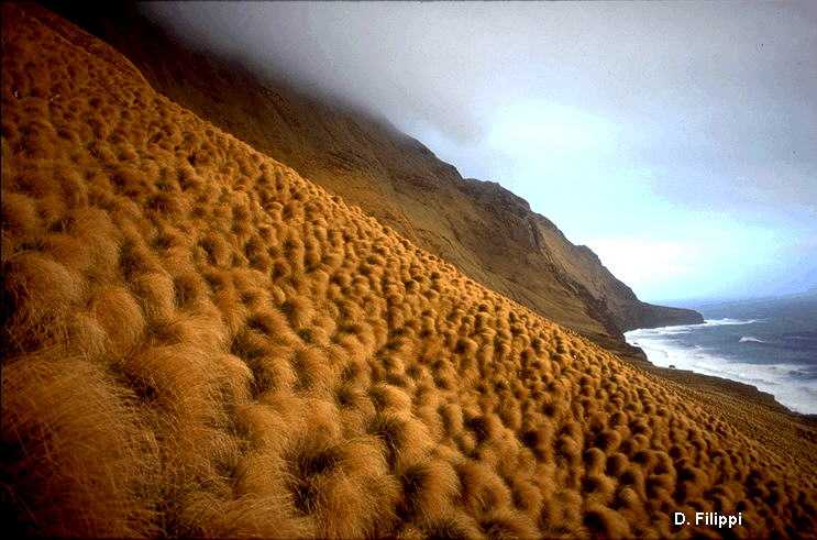 {La falaise d'Entrecasteaux}
